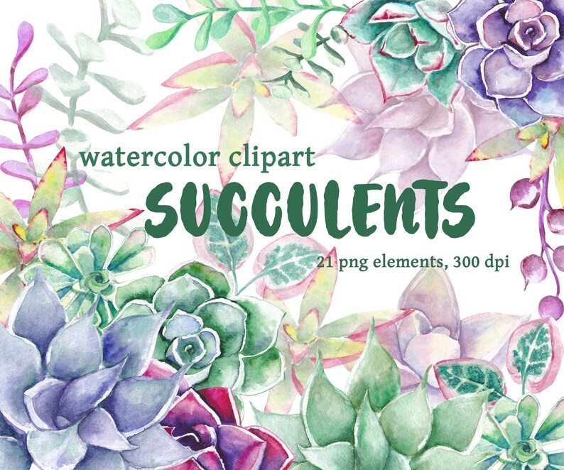 Download Water Color Floral Clipart Hand Drawn Watercolor Succulent Succulent Clipart Png Digital File Clip Art Art Collectibles Seyedhassani Com