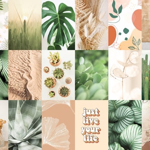 May include: A collage of 12 images featuring various plants and nature-inspired designs. The images include green leaves, cacti, succulents, sand dunes, and abstract patterns in shades of green, brown, and beige. The text "just live your life" is featured in a retro font.