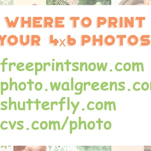 May include: A white background with green floral accents and orange text that reads "WHERE TO PRINT YOUR 4x6 PHOTOS:" followed by a list of websites: freeprintsnow.com, photo.walgreens.com, shutterfly.com, and cvs.com/photo.