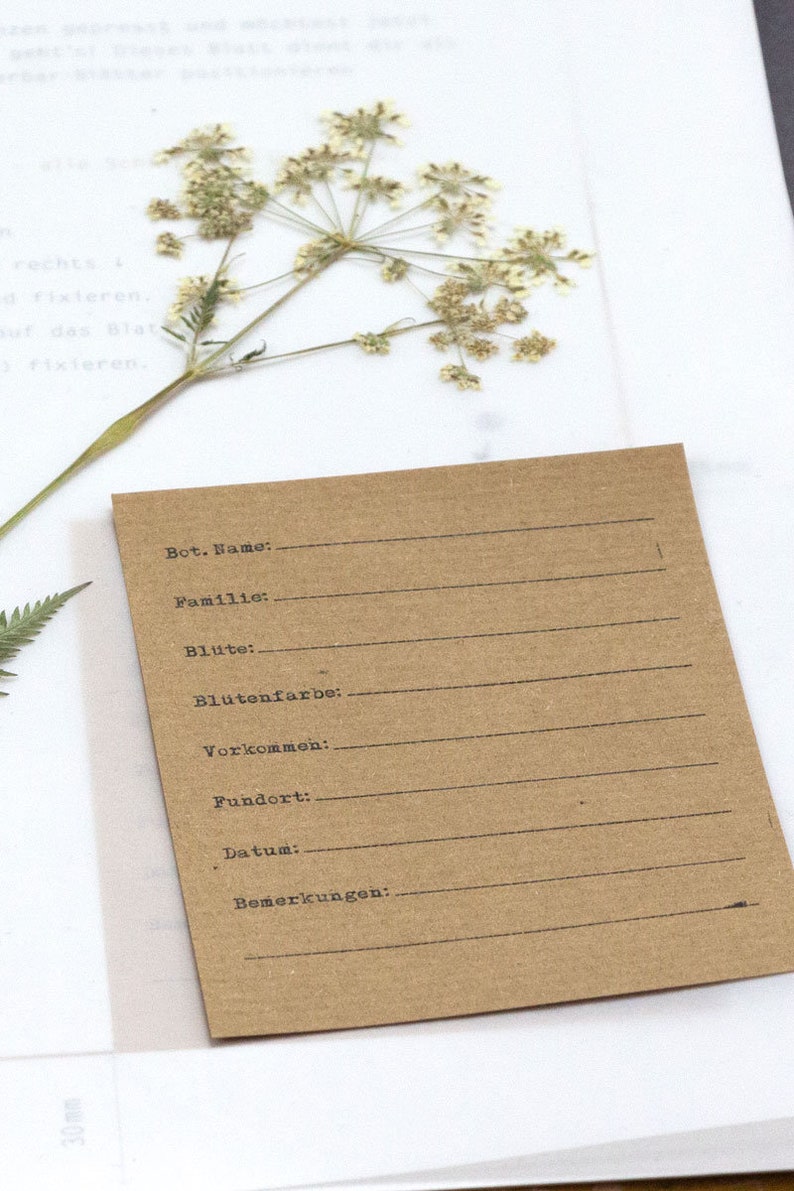 Herbarium anlegen Starter-Kit – Herbarium Etiketten und Pflanzenblatt ...