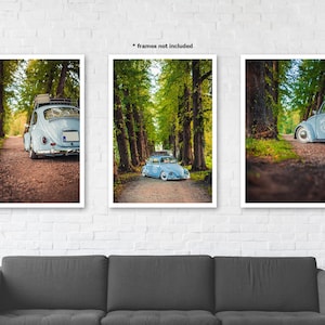 VW Beetle Trio Set Automotive Wall Art Print Poster