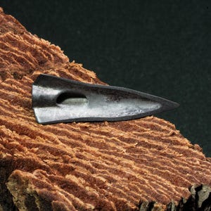 May include: A close-up of a dark grey metal arrowhead with a small hole in the centre. The arrowhead is resting on a piece of brown bark.