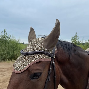 May include: A brown horse wearing a brown and white patterned fly mask with brown ear covers.