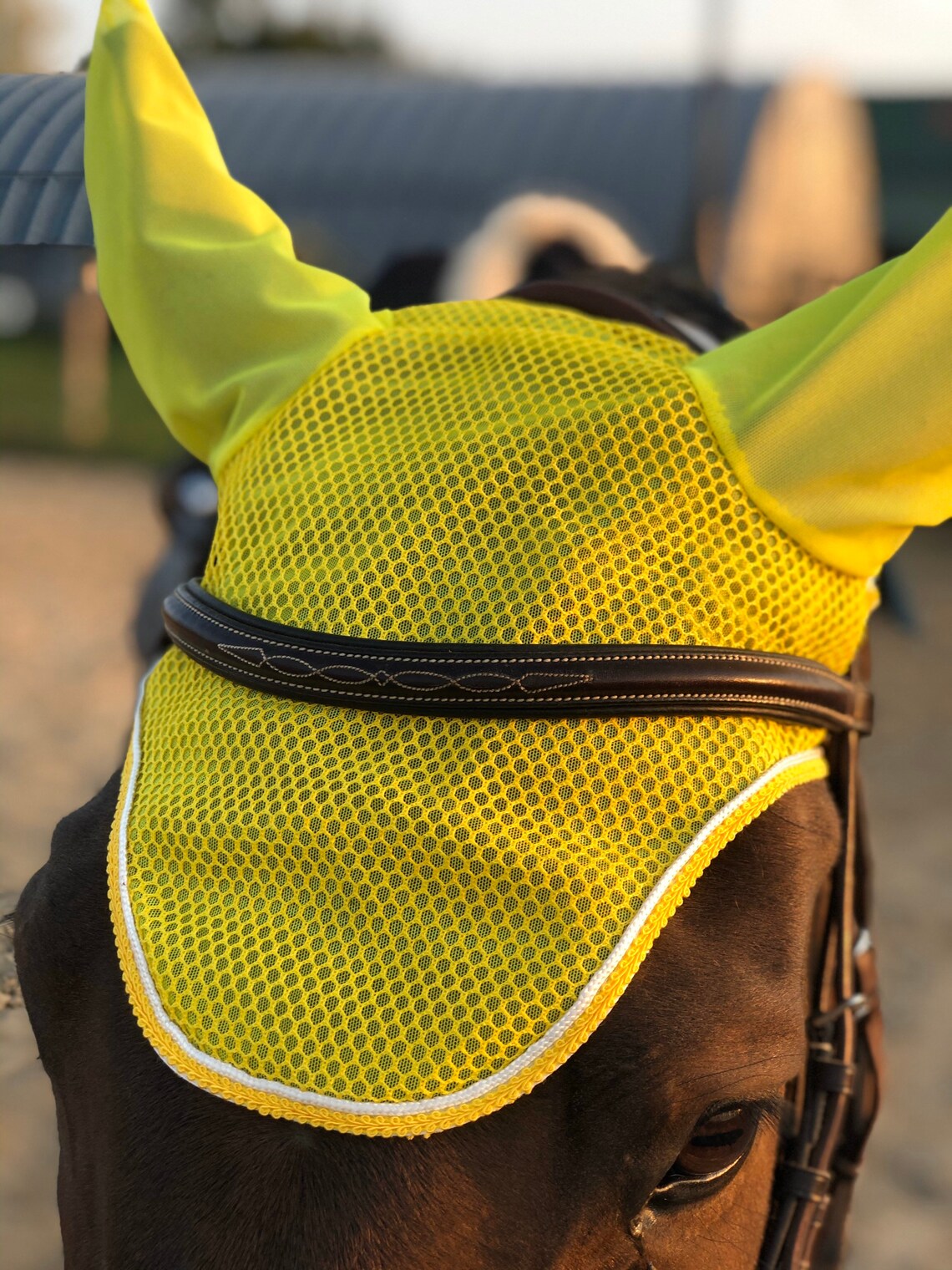 HORSE Riding FLY Hat Veil in Orange or Yellow Etsy