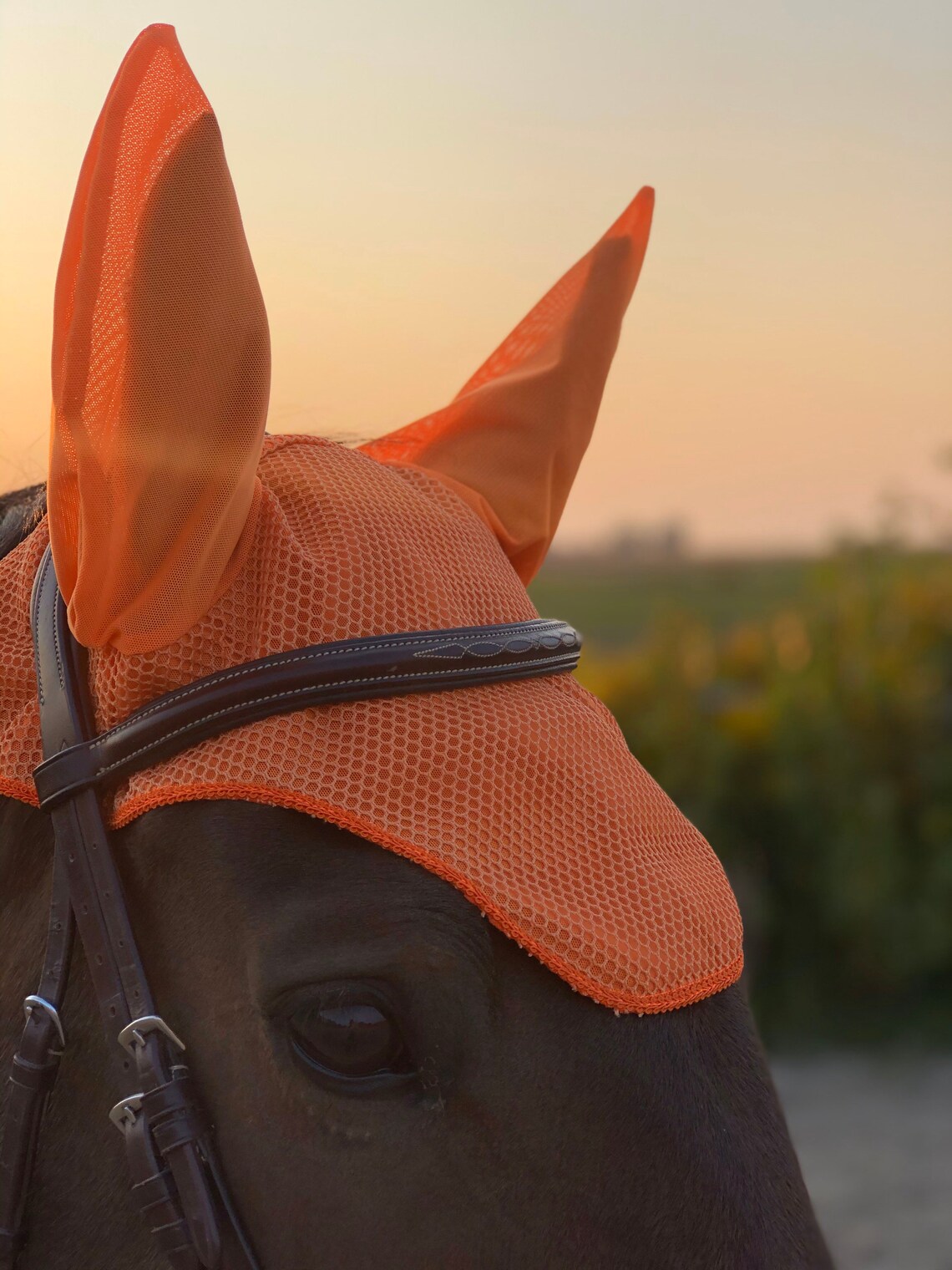 HORSE Riding FLY Hat Veil in Orange or Yellow Etsy