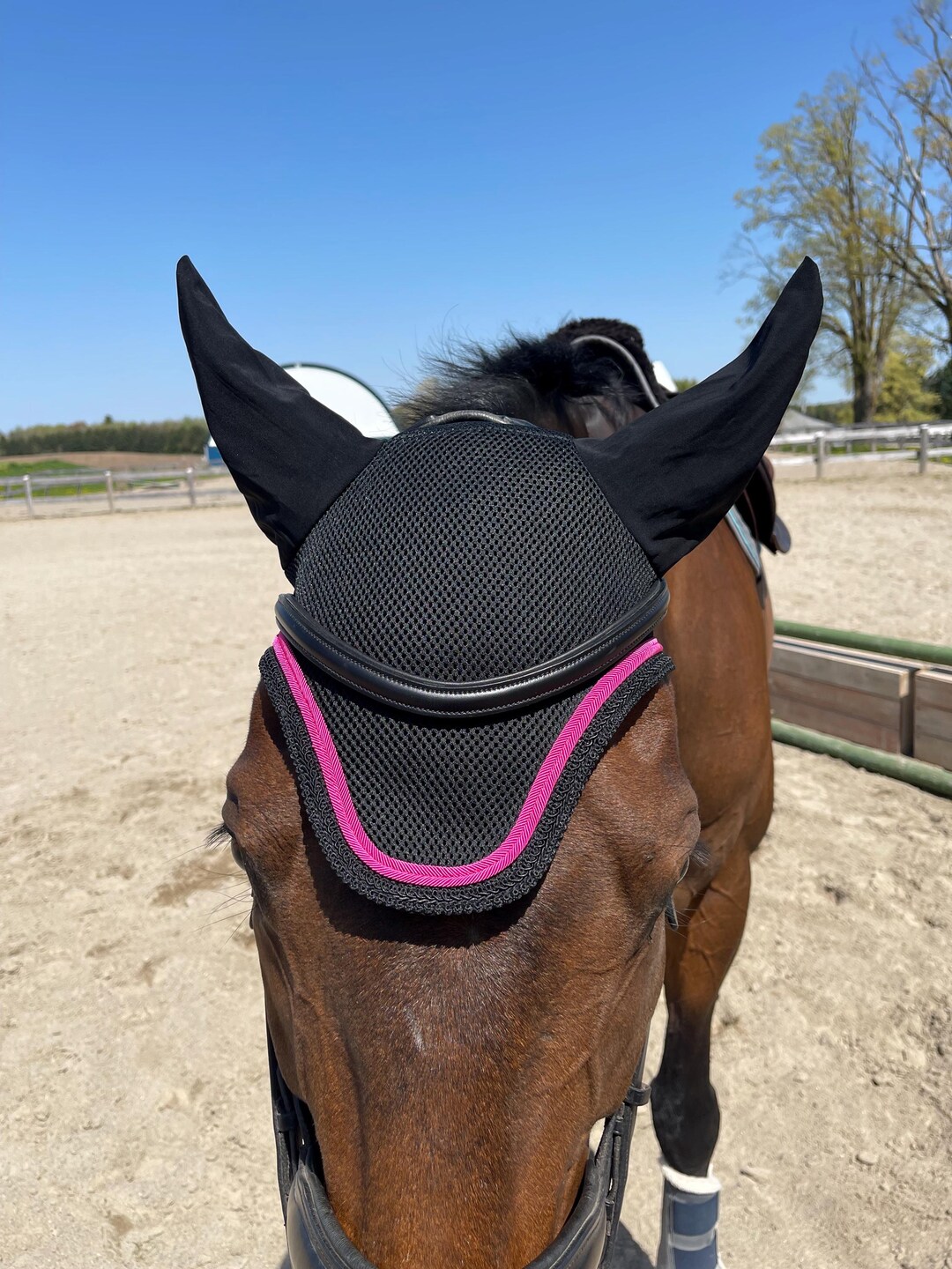 CHOOSE Your SIZE BONNET, in Black Mesh With Fuchsia Pink Accent. Pony ...