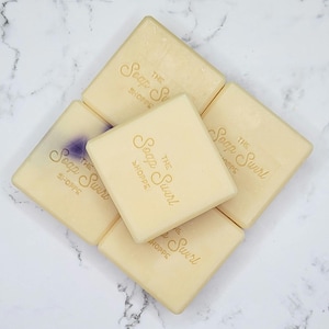 Black Raspberry Vanilla Artisan Bath Soap, Handmade Cold Processed Soap Bars, Skin Cleaning Bars, Body Soap, 4.5 Ounces