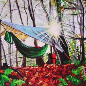 Hammock Camping Landscape  on Vermont Long Trail