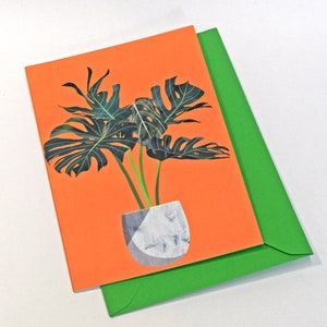 Tarjeta de felicitación para el cuidado de las plantas de queso suizo. Monstera Deliciosa. Único, de producción local.