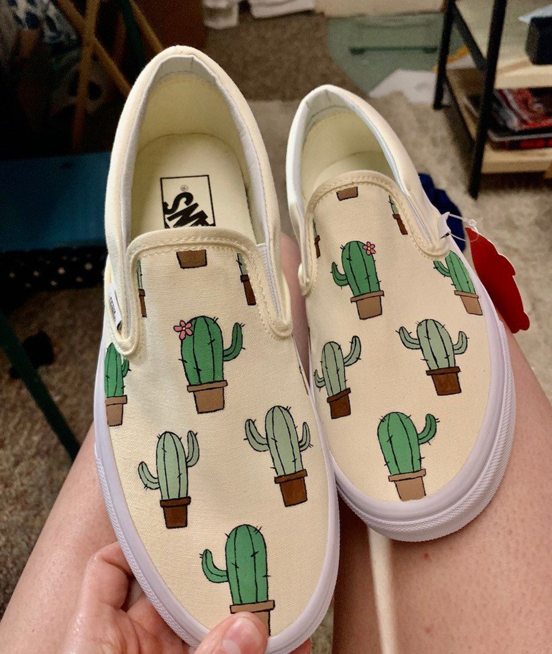 Toy story top vans cactus