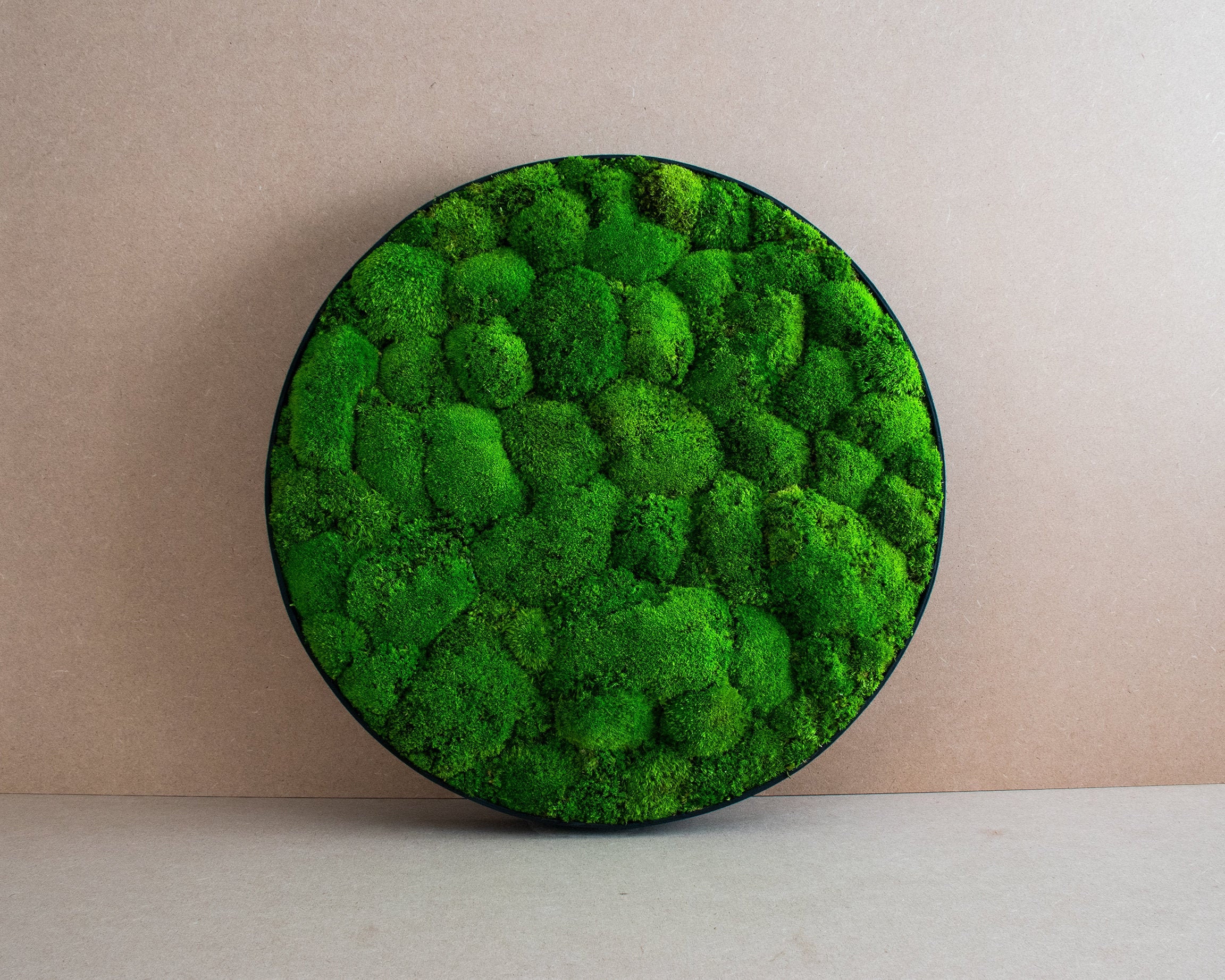 Moss Circle 45cm Moss Wall Art 100 Real Naturally Etsy