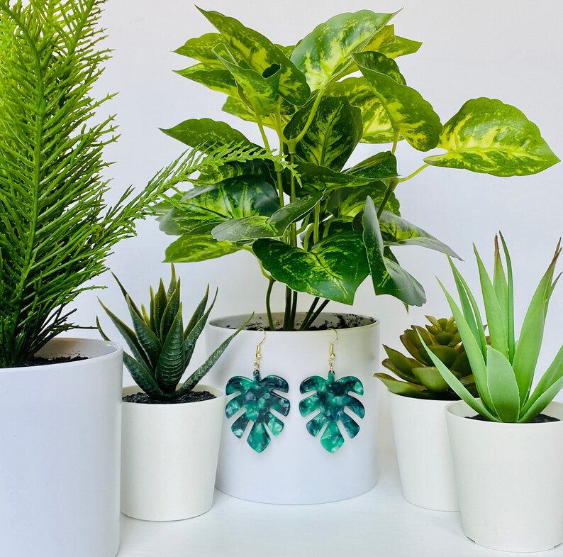 May include: A pair of green and white marbled Monstera leaf earrings with gold-colored hooks. The earrings are displayed in front of several potted plants, including a fern, a succulent, and a pothos plant, all in white pots.