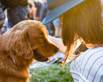 Psychic animal communication reading