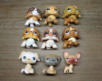 lps pug