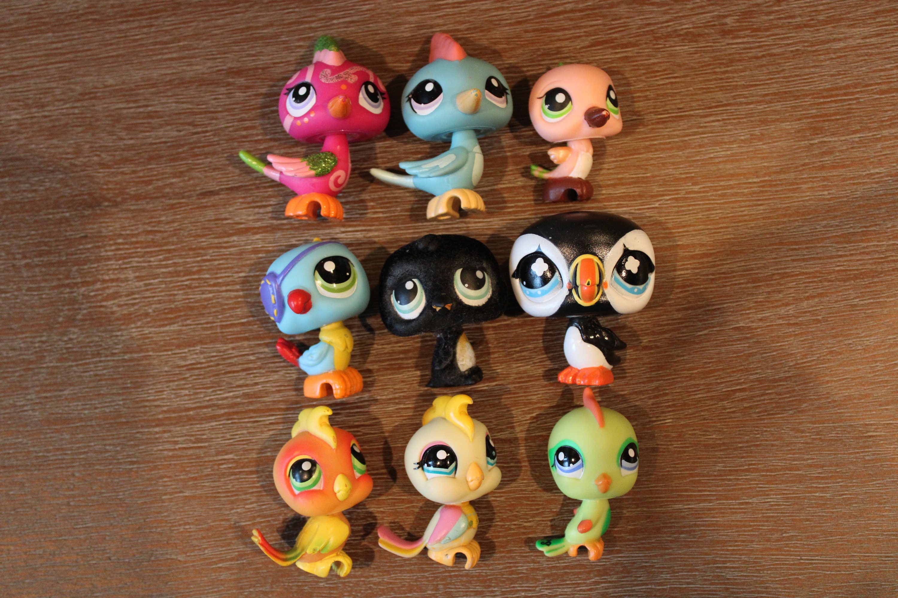 Bird lps 2025