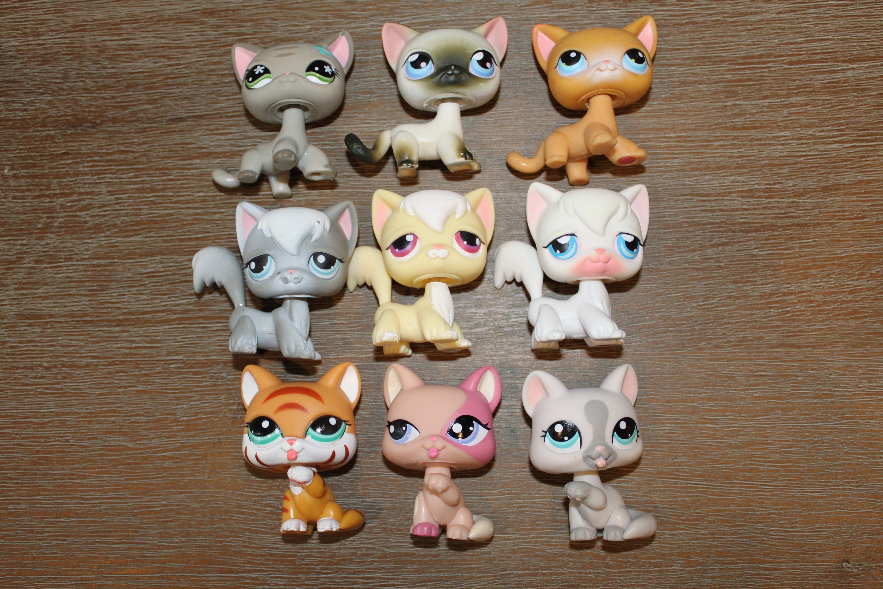 Lps Littlest Petshop Pet Shop Chien Chat Europeen Teckel Colley Cat Dog Rare Minis Univers Co