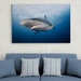 see more listings in the Shark & Ray Wall Art section