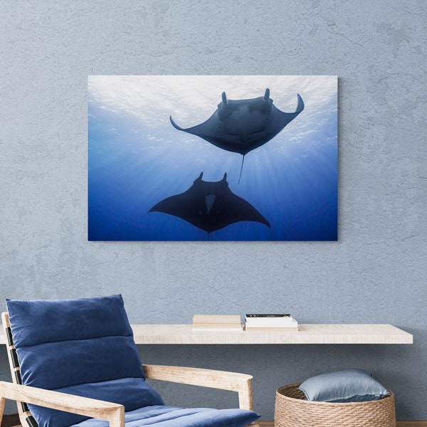 Canvas Wall Art Print of Two Manta Rays Swimming in Blue Ocean.  Underwater Photography.