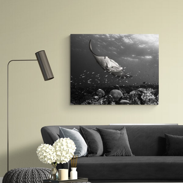 Manta Ray Black and White Canvas Wrap Wall Art.  Artistic Underwater Photographer.  No Frame Needed.