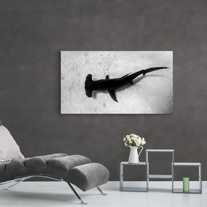 Hammerhead Shark Canvas Wrap Wall Art in Black and White.  Artist Grade Canvas.  No Frame Needed.  Ready to Hang.
