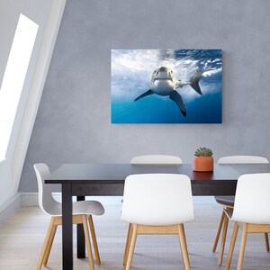 Canvas Wrap Art of a Great White Shark Grinning image 3