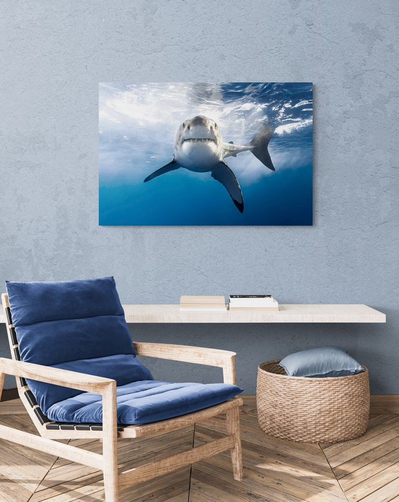 Canvas Wrap Art of a Great White Shark Grinning image 1