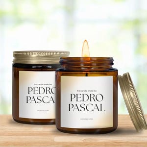 Smells Like Pedro Pascal Candle Celebrity Scented Soy Candle  Fan Gift  Unique Gift for Him or Her The Last of Us Mandalorian Pedro Pascal