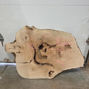 Sycamore live edge slab #11