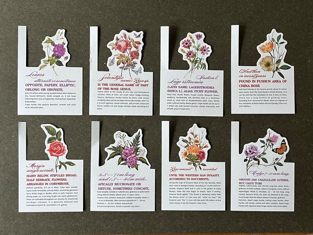 Flower Indexing Cards Junk Journal Paper Ephemera Card Etsy