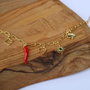 18K Gold Filled Lucky Charm Necklace