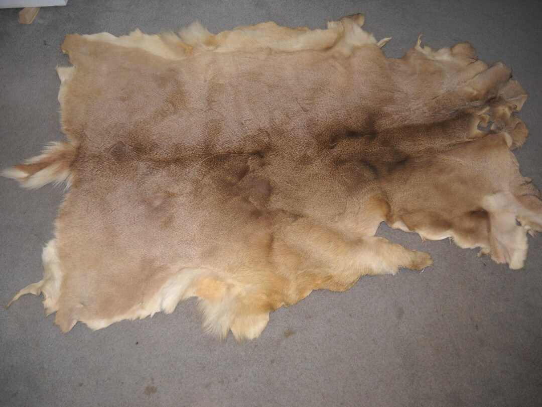 Tanned Pelt, Very Soft White Tail Deer Hide, Beautiful Browns & Tan ...