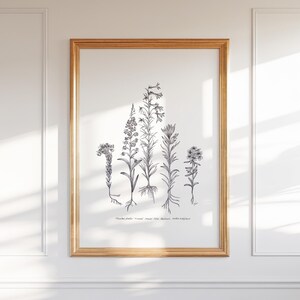 Alpine Wildflowers Print: Colorado Pen and Ink Floral Wall Art