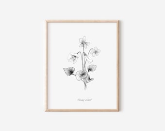 February Violet Print, 5x7, 8x10, Birth Month Flower Collection, Pen and Ink Drawing, Black and White Drawing, Hand Drawn Floral Wall Art
