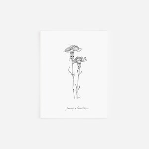 誕生月の花のノートカードセット、12枚の空白のカードと封筒、白黒のペンとインクの絵、手描きの植物イラストアート