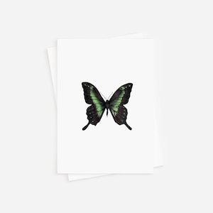 Carte de correspondance verte papillon machaon, à l'unité ou lot de 6, cartes vierges et enveloppes, dessin à la plume et encre, art dessiné à la main, papeterie