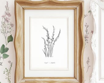 August Gladiolus Print: Black and White Pen & Ink Floral Art