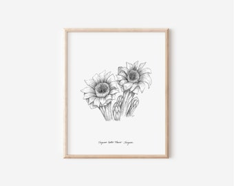 Arizona Saguaro Cactus Flower Print, State Flower Collection, 5x7, 8x10,Pen and Ink Drawing, Black and White, Hand Drawn Floral Wall Art