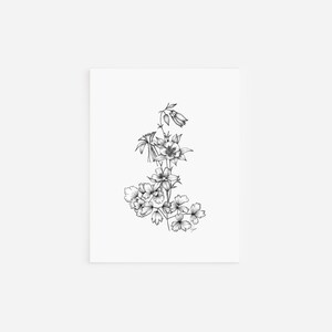 Tarjetas de notas de Colorado Columbine, colección de flores estatales, dibujo con pluma y tinta, arte en blanco y negro, papelería dibujada a mano, ilustración floral