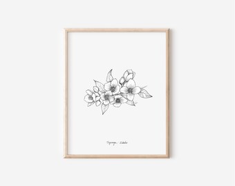 Idaho Syringa Print, State Flower Collection, 5x7, 8x10, Pen and Ink Drawing, Black and White Nature Illustration, Hand Drawn Floral Artwork