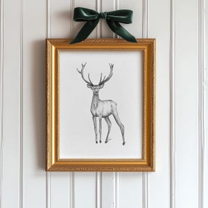 Stag Print, 5x7, 8x10 Antler Pen and Ink Drawing, Man Cave Decor, Classy Holiday Art