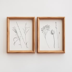 Winter Grasses Print Set, Pen and Ink Drawing, 8x10