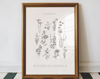 Birth Month Flowers Print: Pen and Ink Floral Art (13x19, 8x10 Available)