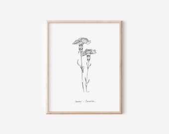 January Carnation Print, Birth Month Flower Collection, 5x7, 8x10, Pen and Ink Drawing, Black and White, Hand drawn Decor, Floral Wall Art