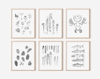 Colorado Wild Collection, 6 Print Set, 8x10, 13x19, Pen and Ink Drawing, Black and White Illustration, Hand Drawn Decoration, Natural Art