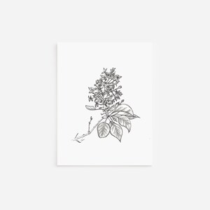 ライラック色のノートカード、白紙のカードと封筒、ペンとインクの絵、白黒のアートワーク、手描きの植物イラスト、文房具セット