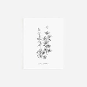 Tarjetas de espuela de caballero/delphinium de julio, colección de flores del mes de nacimiento, tarjetas y sobres en blanco, pluma y tinta, blanco y negro, dibujado a mano