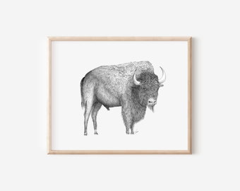 Bison Print, 8x10, Pen and Ink Drawing, Black and White Illustration, Hand Drawn Wall Art, Colorado Buffalo Decor, Western Animal Decor