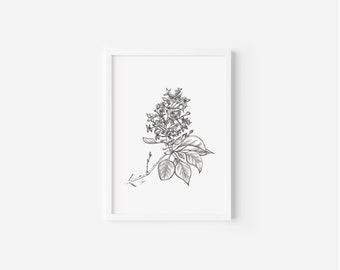 Lilac Print, 5x7, Pen and Ink Drawing, Black and White Botanic Illustration, Hand Drawn Floral Wall Art, Spring Summer Blossom Decoration