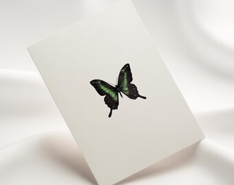 Green Swallowtail Butterfly Notecard Set: Hand-Drawn Pen & Ink Art