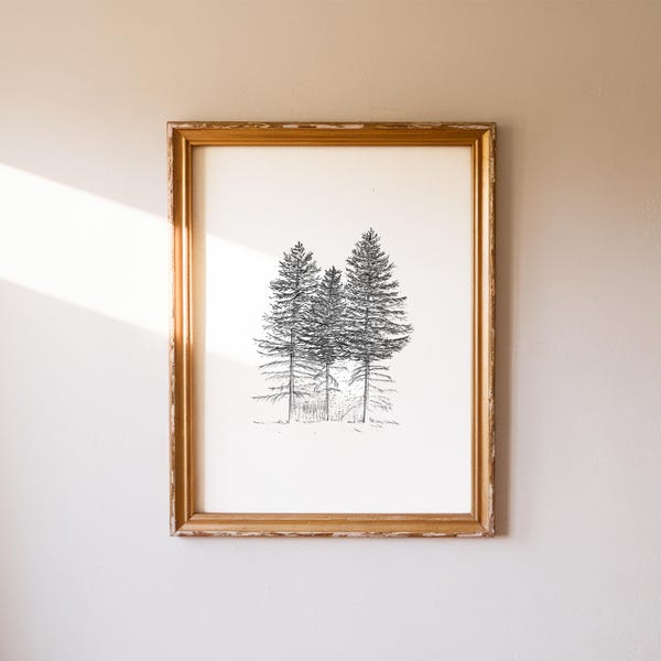 Noble Firs Print, 8x10, 13x19, Pen and Ink Drawing